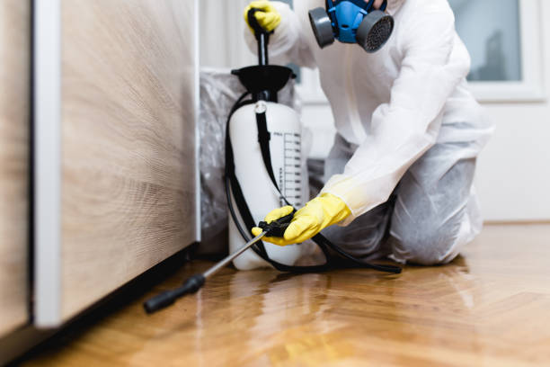 Best Best Pest Control Companies  in Belton, SC